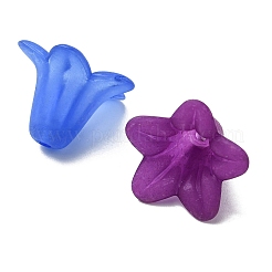 Прозрачные акриловые бусины&nbsp;FIND-YW0001-68