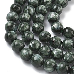 Naturperlen Stränge SERAPHINITE&nbsp;G-C270-O01-07