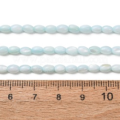 Gefärbt natürlichen Süßwasser-Muschelperlen Stränge&nbsp;SH-CBA2978-06C