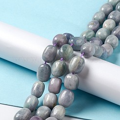 Природные кунцит бисер нитей G-K331-005D