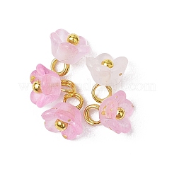 60 шт. 12-х цветные матовые акриловые цветочные подвески PALLOY-JF03550