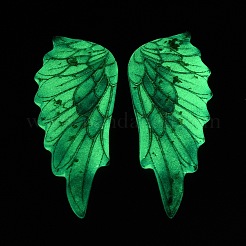 Pendentifs lumineux en résine époxy transparente&nbsp;RE-CBAE738-02C