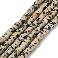 Природные яшмы далматин бисер нитей G-Z110-A14-2x4mm