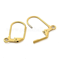 Placcatura ionica (ip) 304 acciaio inossidabile a leva orecchini&nbsp;LS-STAS-P360-02B-G