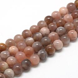 Chapelets de perles de sunstone naturelle naturelles, ronde, 8~9mm, Trou: 1mm, Environ 45~48 pcs/chapelet, 15.7 pouce