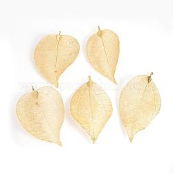 Гальванизированные натуральные листовые большие подвески, с железной фурнитурой, с золотым покрытием, 55~85x25~40x1 мм, отверстие : 3x6 мм