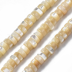 Fili di perle di conchiglia trochid naturale / trochus, Rotondo piatto / disco, perline Heishi, Burlywood, 4x2mm, Foro: 0.7 mm, circa 196~197pcs/filo, 15.75 pollice (40 cm)
