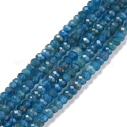 Chapelets de perles en apatite naturelle, facette, rondelle, 3x2mm, Trou: 0.5mm, Environ 175 pcs/chapelet, 15.16 pouce (38.5 cm)