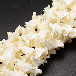 Natural Trochid Shell/Trochus Shell Beads Strands, Bird, Creamy White, 12x21x4mm, Hole: 1mm, about 37pcs/strand, 16.14 inch