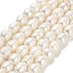 Brins de perles de culture d'eau douce naturelles, riz, grade AB, floral blanc, 11~12x10~10.5mm, Trou: 0.5mm, Environ 29~31 pcs/chapelet, 14.37~14.45 pouce (36.5~36.7 cm)