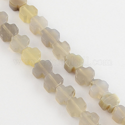 Natürlichen grauen Achat Perlen Stränge, greek Quer, Bräune, 8x8x4 mm, Bohrung: 1 mm, ca. 50 Stk. / Strang, 16.9 Zoll