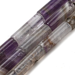 Природного флюорита бисер нитей, колонка, 12.5~14x4~4.5 мм, отверстие : 1 мм, около 28~29 шт / нитка, 15.35~15.55 дюйм (39~39.5 см)
