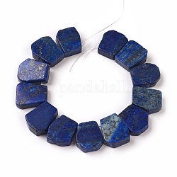 Natural Lapis Lazuli Beads Strands, Flat Slab Beads, Dyed, Nuggets, 16~20x9~22x5~7mm, Hole: 1.5mm, about 13pcs/strand, 7~7.4 inch(18~19cm)