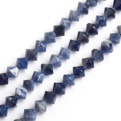 Chapelets de perles en sodalite naturelle, Toupie, 3.9~4x4mm, Trou: 0.8mm, Environ 99 pcs/chapelet, 15.16 pouce (38.5 cm)