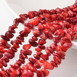 Pépites corail rouge naturel brins de perles, teinte, 4~6x8~12x2~4mm, Trou: 1mm, environ 34.6 pouce