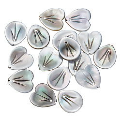 Ahandmaker 16 pz perline di conchiglia a forma di petalo nero, 2 perline di petali di fiori di conchiglia in stile, Ciondoli con conchiglia naturale in stile spiaggia oceanica per la creazione di gioielli e decorazioni artigianali fai-da-te