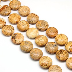 Naturelles plates rondes jaspe perles brins, 20x7~9mm, Trou: 1mm, Environ 20 pcs/chapelet, 15.74 pouce