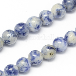 Brins de perles de jaspe de tache bleue naturelle, ronde, 10mm, Trou: 1mm, Environ 40 pcs/chapelet, 15.7 pouce