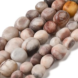 Chapelets de perles en zèbre naturel, pépites, pierre roulée, 10~17x9~14x7~15mm, Trou: 1mm