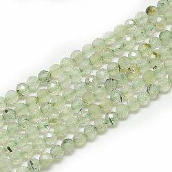 Chapelets de perles en préhnite naturelle, facette, ronde, 3~3.5mm, Trou: 0.3mm, Environ 113 pcs/chapelet, 14.9 pouce