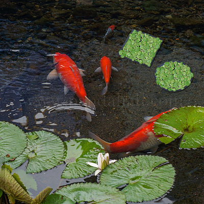 2 набор 2 стилей eva фитопланктон украшения FIND-FH0009-80-1