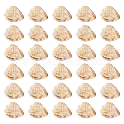 Естественная оболочка&nbsp;FIND-TAC0026-10A-1