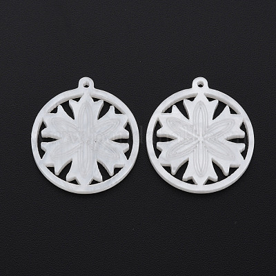 Непрозрачные акриловые подвески OACR-N132-001-1