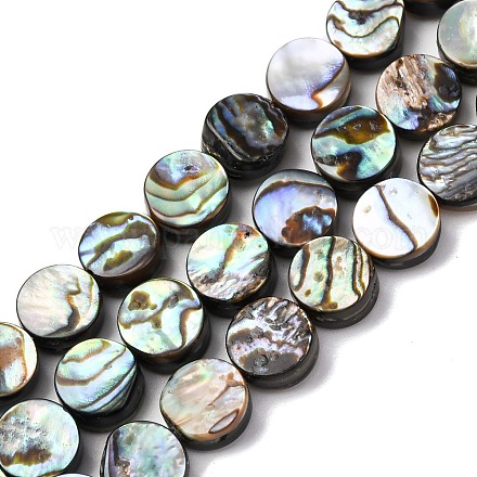 Природные пауа бусы нити BSHE-ZX006-09C-1