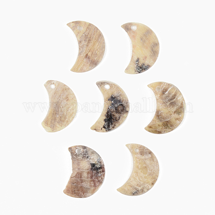 Colgantes de concha de akoya natural SHEL-R048-026-1