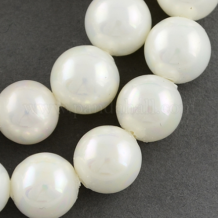 Chapelets de perles en coquille BSHE-R146-16mm-02-1