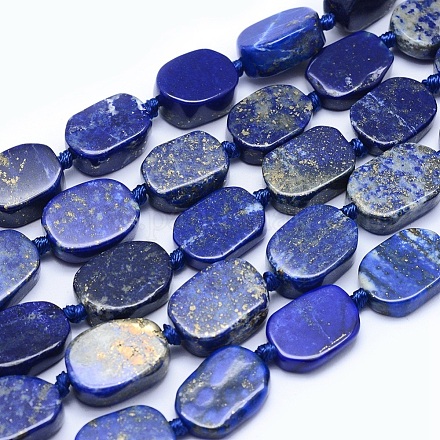 Natural Lapis Lazuli Beads Strands G-O170-02-1