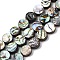 Natural Paua Shell Beads Strands, Flat Round, Colorful, 10x3.5mm, Hole: 1mm, about 40pcs/strand, 15.75 inch(40cm)
