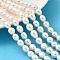 Natural Cultured Freshwater Pearl Beads Strands, Rice, Grade 6A+, White, 8~9mm, Hole: 0.7mm, about 35~36pcs/strand, 13.39''~13.98''(34~35.5cm)