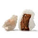 Pepite grezze pietra curativa naturale apofillite DJEW-P006-01B-2