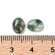 Cabochons en agate de mousse naturelle&nbsp;G-I359-01-3