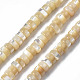 Fili di perle di conchiglia trochid naturale / trochus SSHEL-S266-019B-01-1