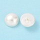 Perla de concha perlas medio perforadas BSHE-G011-01-12mm-5