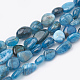 Natural Apatite Beads Strands G-S331-6x8-002-1