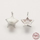 Charms in argento sterling X-STER-K029-12MS-1