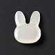 Perles de coquillage blanc naturel BSHE-C003-01C-2