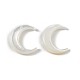 Perles de coquillage blanc naturel SSHEL-M021-14-2