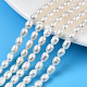 Natural Cultured Freshwater Pearl Beads Strands PEAR-N012-04C-1