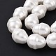 Chapelets de perles de coquille BSHE-P024-03-6