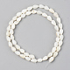 Eau douce naturelle de coquillage perles brins SSHEL-R048-007B-2