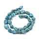 Natural Howlite Beads Strands X-G-I263-02-2