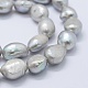 Natural Cultured Freshwater Pearl Beads Strands PEAR-K004-05E-3