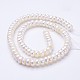 Natural Cultured Freshwater Pearl Beads Strands PEAR-P002-17-2