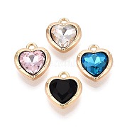 Подвески сплава Rhinestone PALLOY-T092-23G
