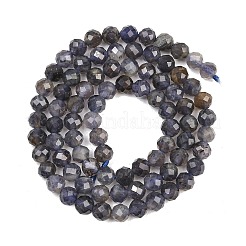 Naturperlen Stränge iolite&nbsp;G-RM250101-D7