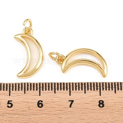 Messing Anhänger & Charms&nbsp;KK-L275-65G-01
